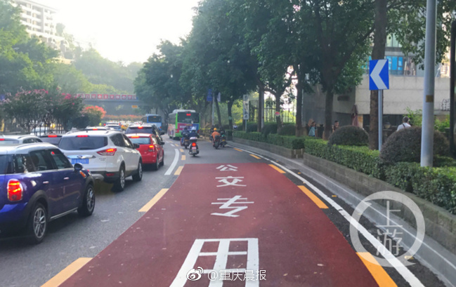 欧美六级黄片