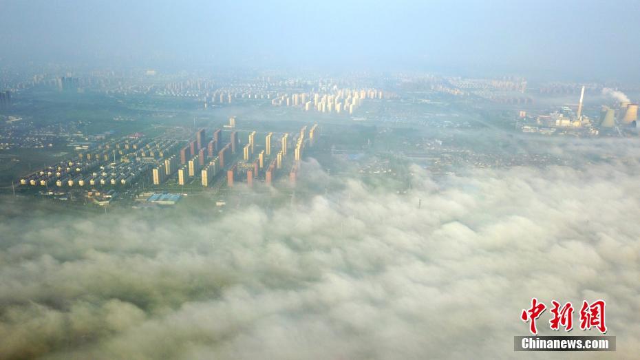 靠逼视频软件下载