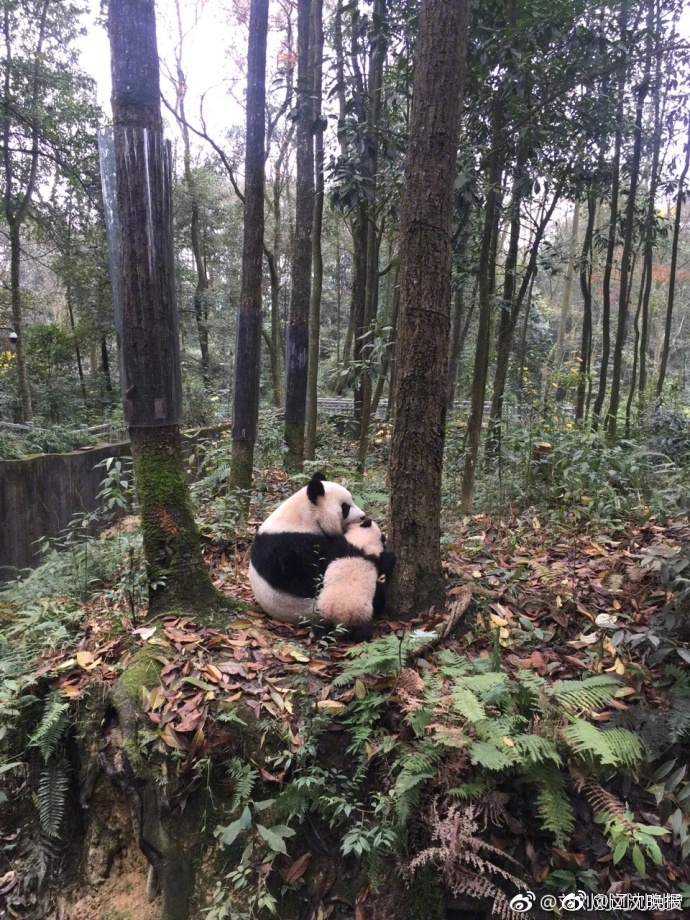 8090碰