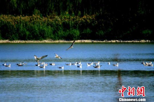 91popny丨九色丨蜜臀