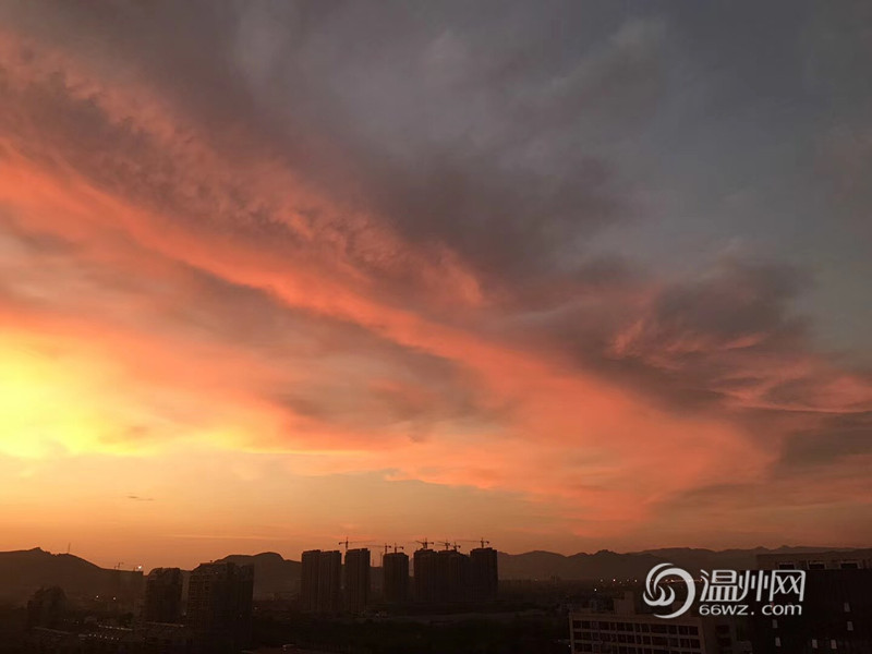 张柏芝跪下吃J8长什么样