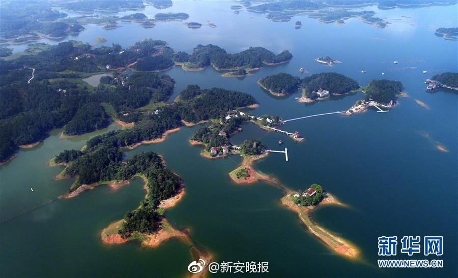 成人色综合