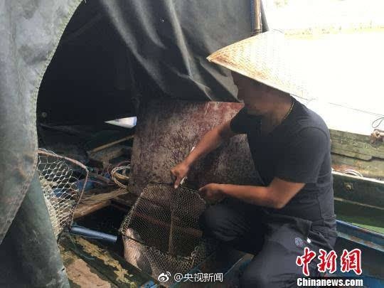 家庭乱伦性爱电影
