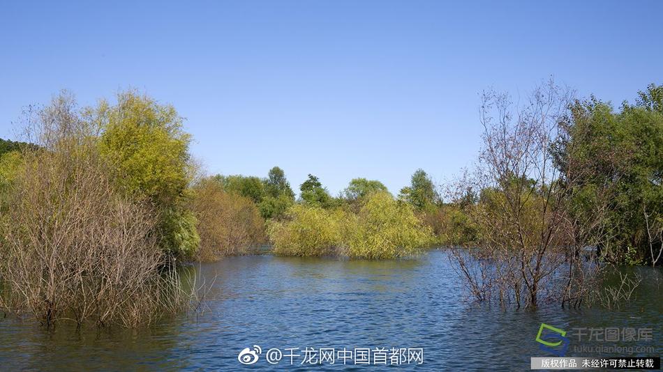 欧美综合色
