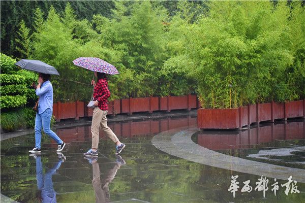 相武紗季