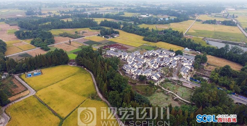 成人毛片网