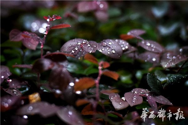 不知火舞被 同人