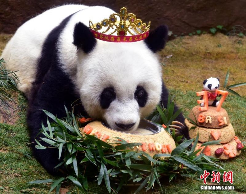 三级片一级片乱轮古代青楼