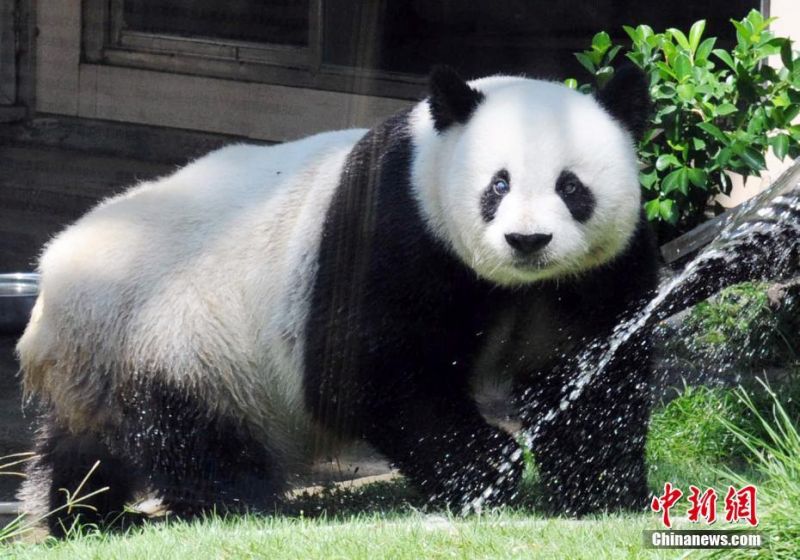 實踐大學