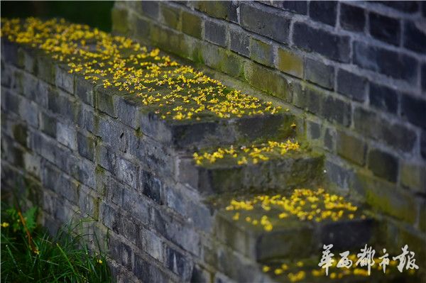 午夜福利剧场