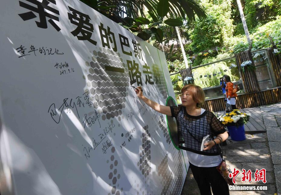国产欧美自拍