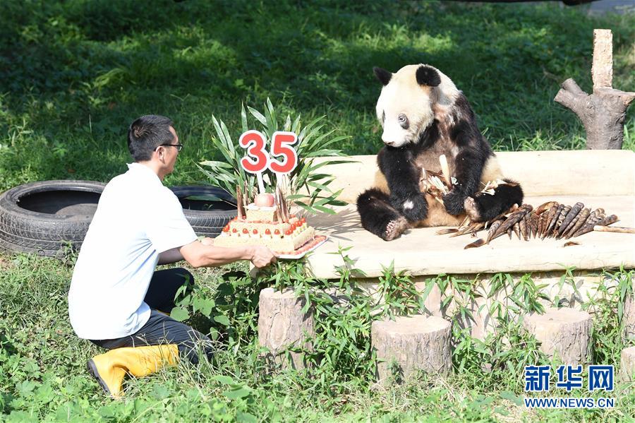免费观看黄色网站，不用下载