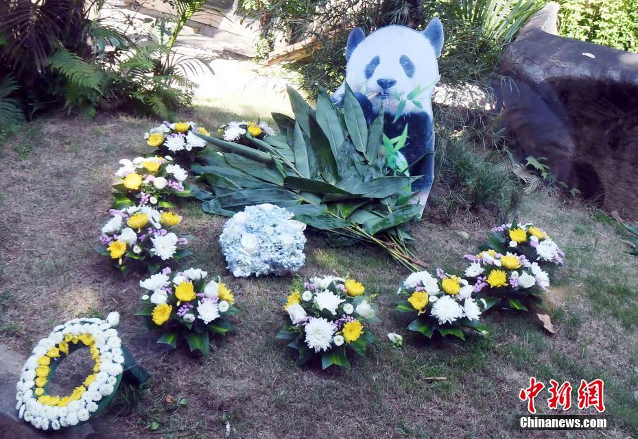 三级片女人全裸