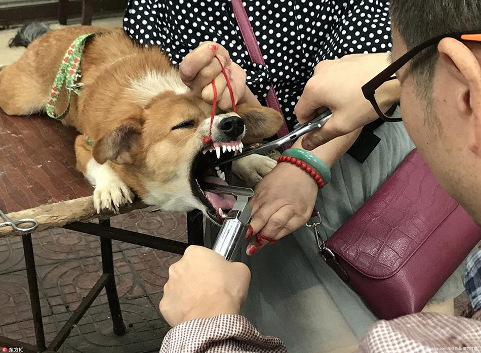 三级三级黄色