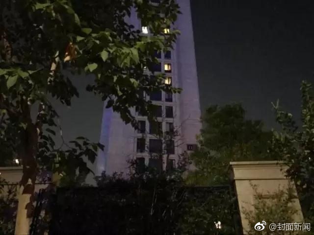 欧美 成人 电影 网