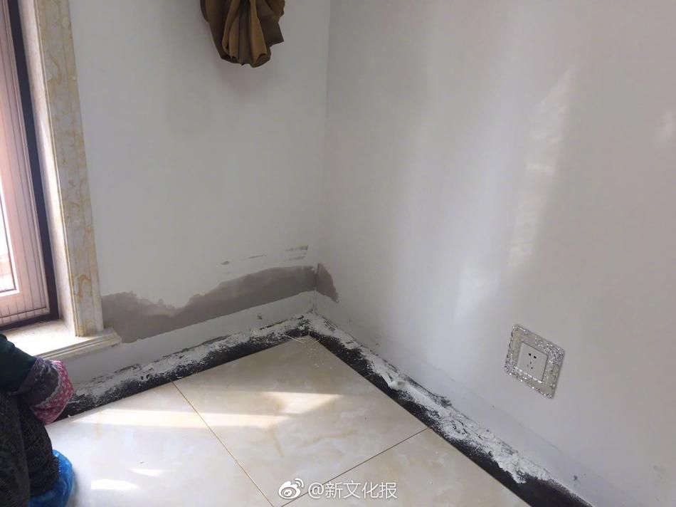 做爱动态图