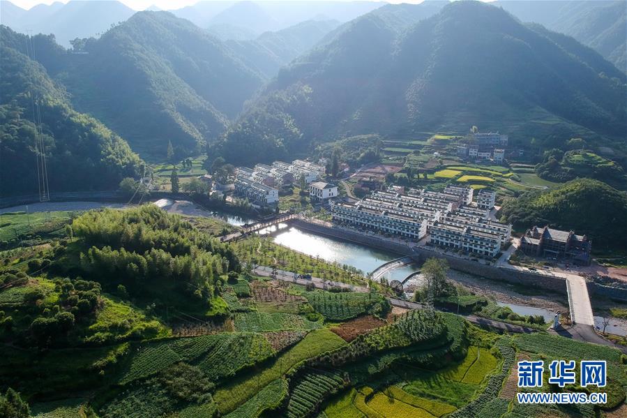 包包頭