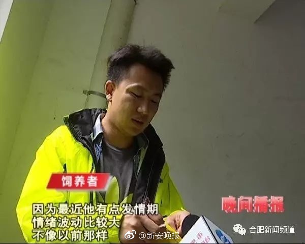 中文字幕一级片