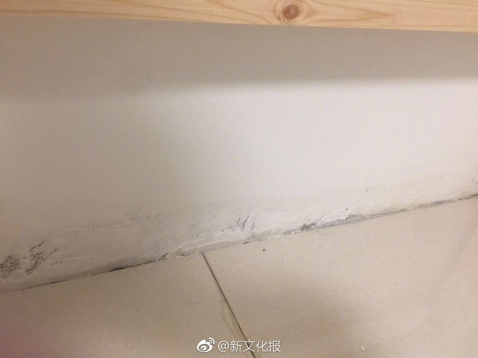 澳门毛片