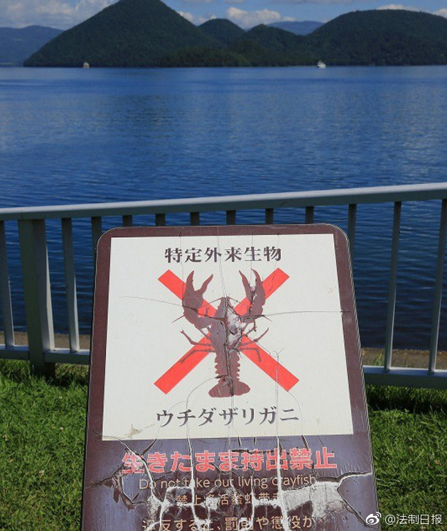 水多多高清影片