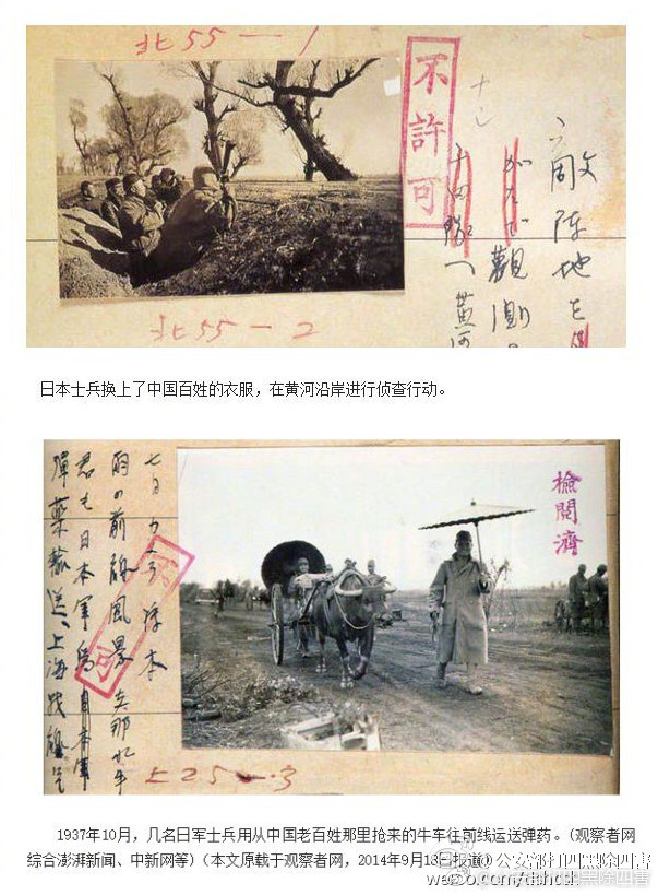黄色三级三级中国