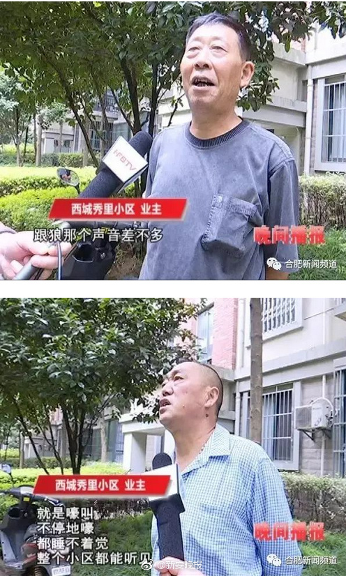 朝日奈央