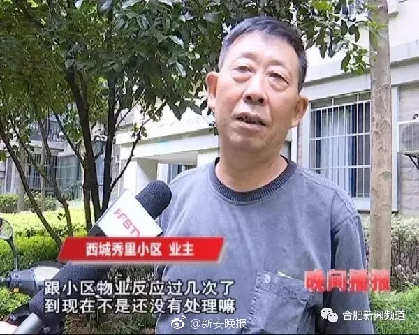 360水滴摄像头酒店大床房主题