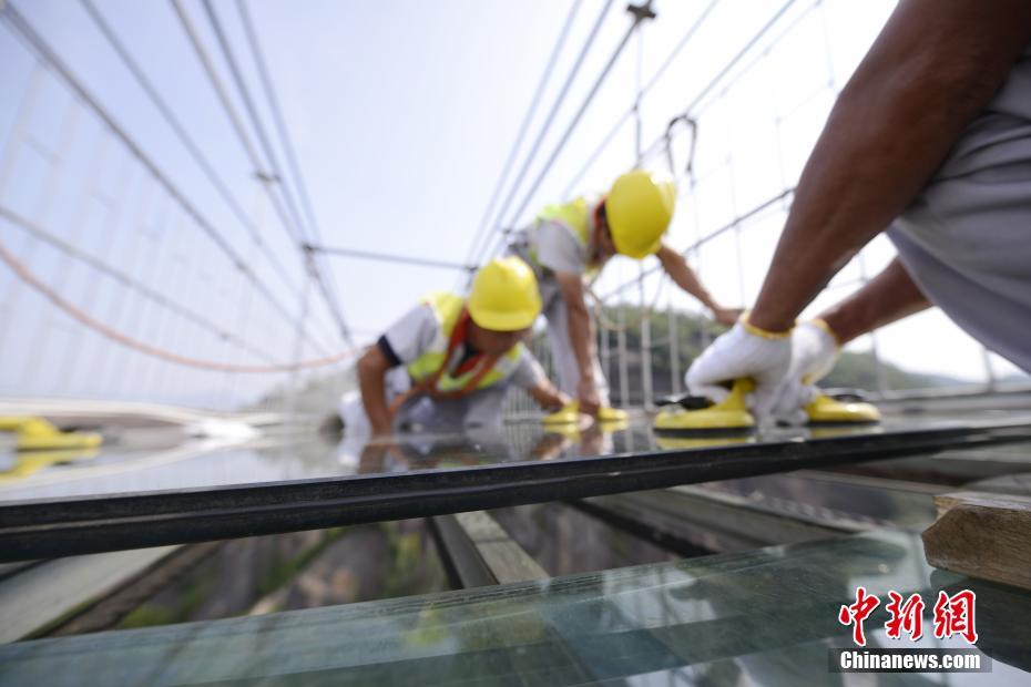 黄色网址视频在线观看播放
