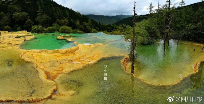蕾絲內褲
