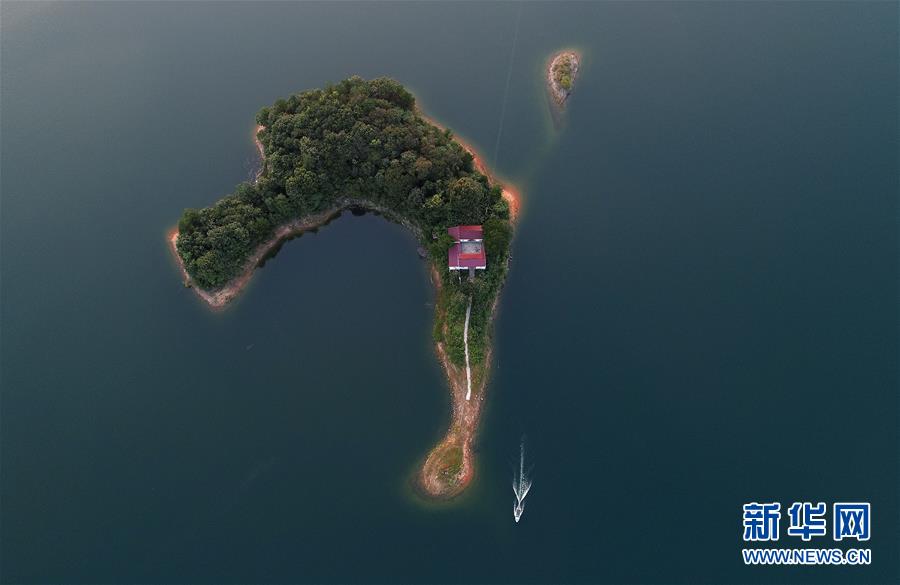 中国做受   影片