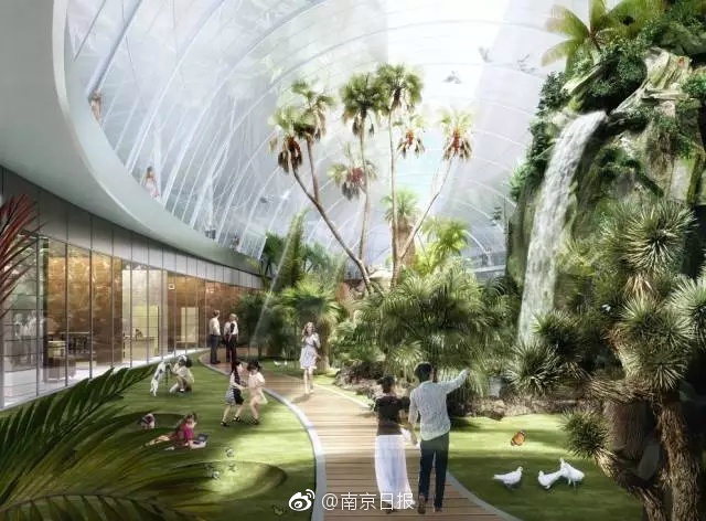 麻豆直播视频下载