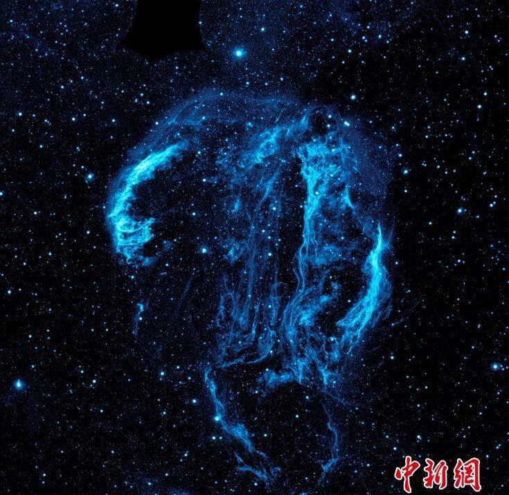 免费黄色在观看