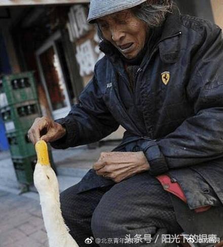 女主播潮吹