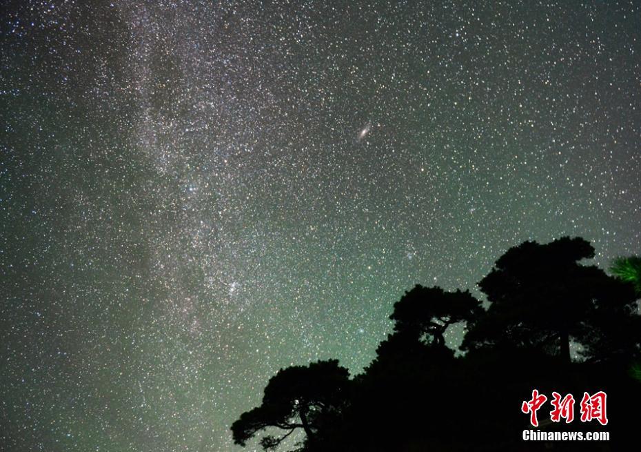 adc影视年龄确认实名认证欢迎大驾光临芒果