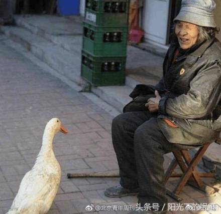 91精品人妻一区二区三区果冻