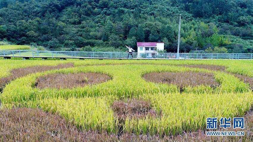 四月最新沟厕盗摄在线