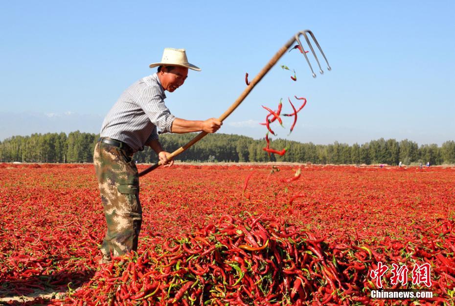 范冰冰的黄片