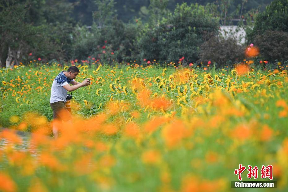 中国老太婆性妓女沙滩Hd