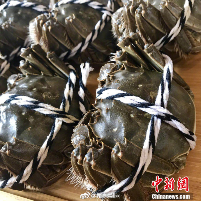 在线黄片Com