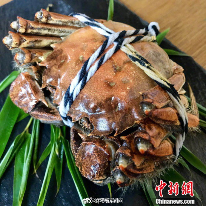 杨钰莹操逼一区二区三区