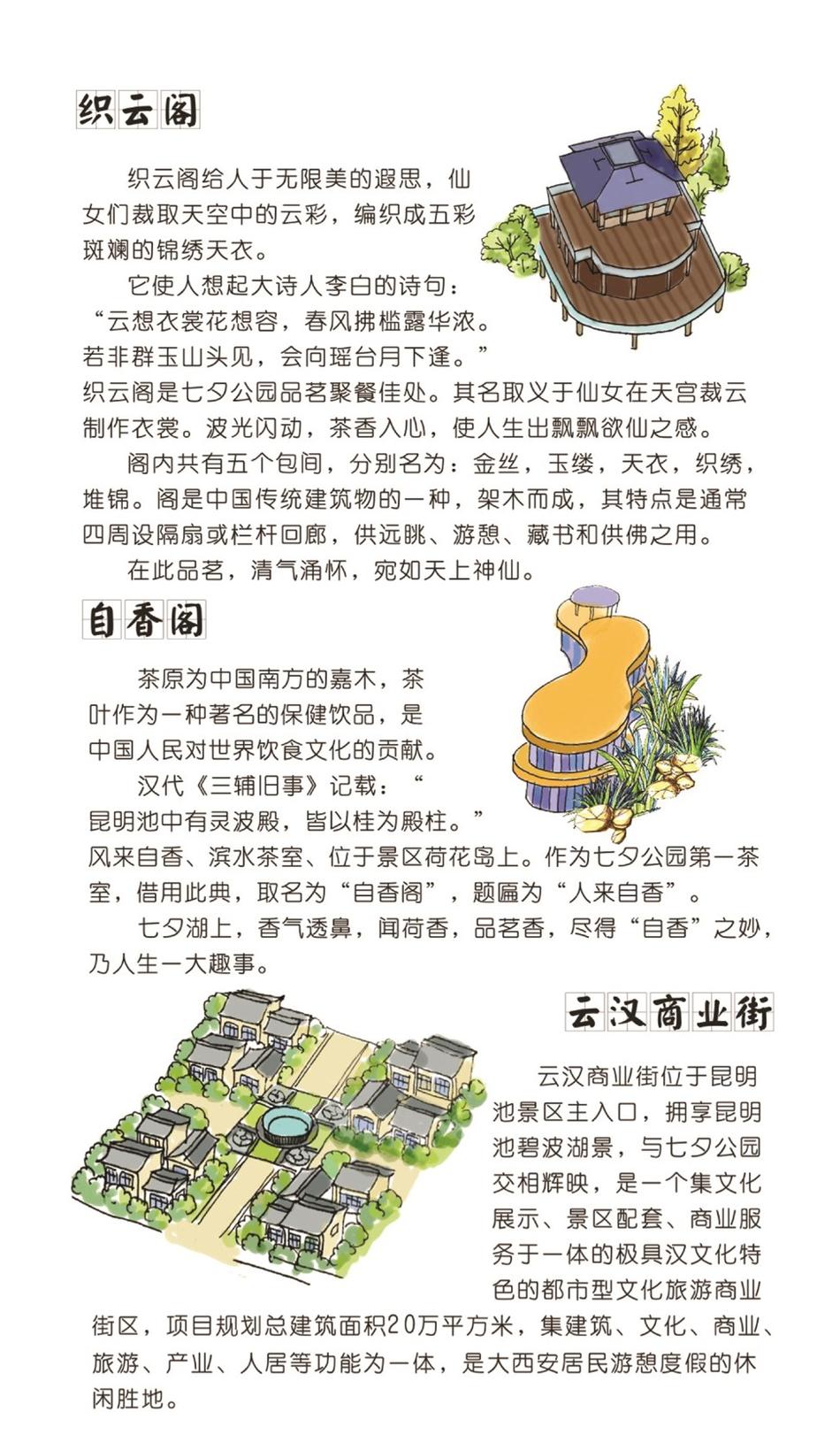 在线观看黄片的