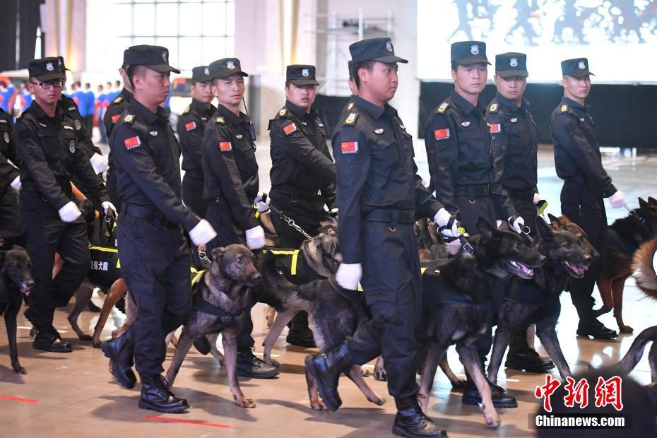 在线黄片Con