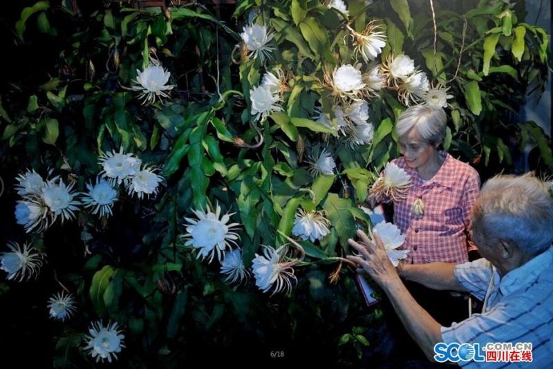 欧美日韩专区