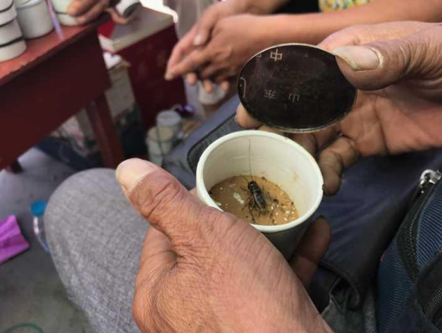 黄色网站 天天看三级片