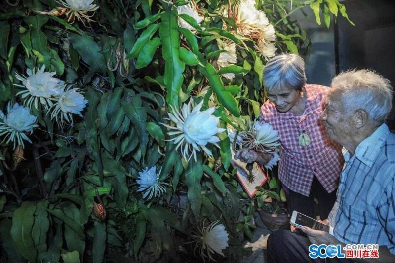 丝袜脚 好紧 老师