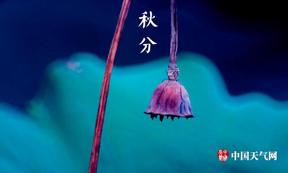 黑料老司机,不打烊,heiliao