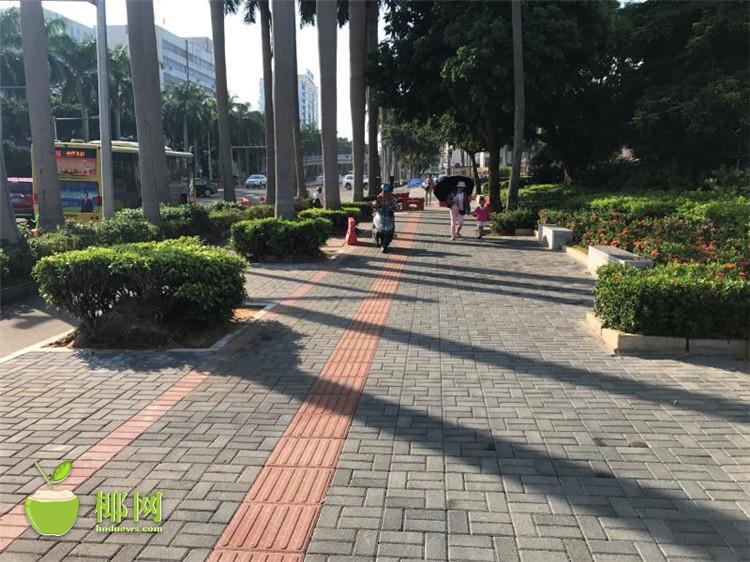 干丰满熟女视频