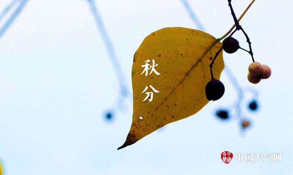 国内免费性生活片