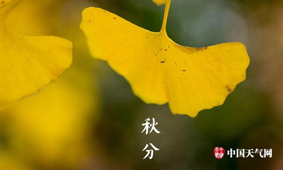 怪物動漫