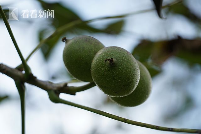 国产亚洲区